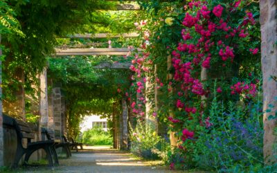 Gartenführungen